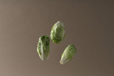 Romaine lettuce with brown background