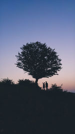 Silhouette of trees on landscape at sunset