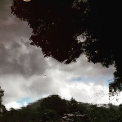 Low angle view of trees against cloudy sky