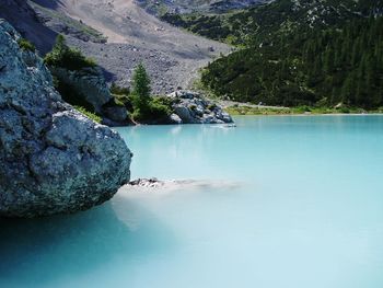 Scenic view of lake by trees against sky