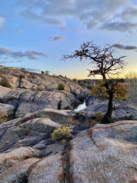 Scenic view of rocky shore against sky