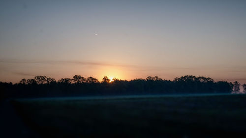 Silhouette of trees on landscape at sunset