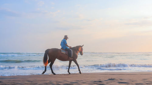 Horse riding horses on beach against sky