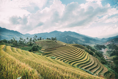 Panoramic view of agricultural field against sky