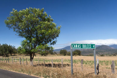 Information sign on rocky landscape against blue sky