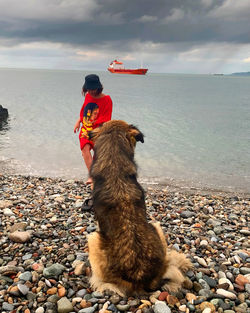 Full length of a horse on beach