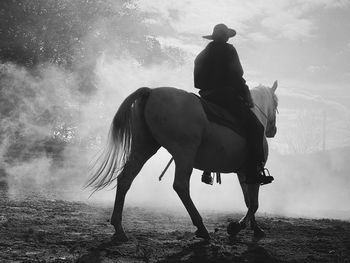Man riding horse on field