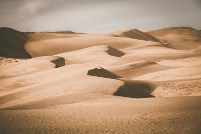 Sand dunes in a desert