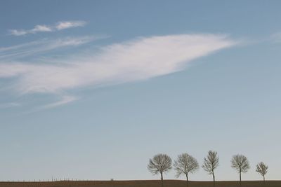 Low angle view of trees against sky