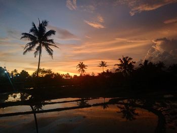 Silhouette palm trees against sky during sunset