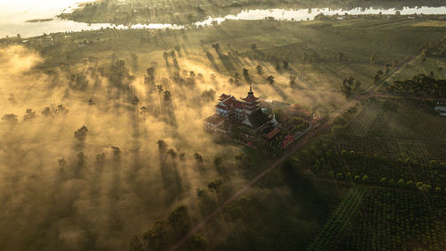 environment