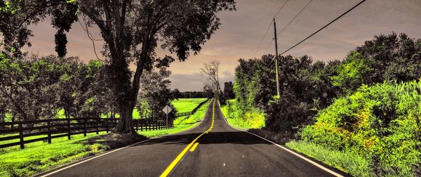 Road amidst trees against sky