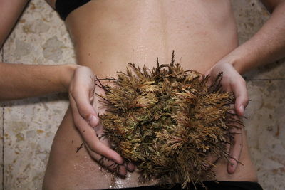 Midsection of woman holding desert rose