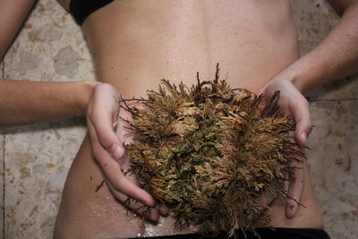 Midsection of woman holding plant