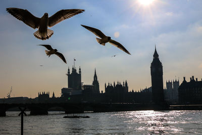 Birds flying over thames river against sky