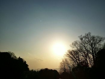 Low angle view of silhouette trees against sky during sunset