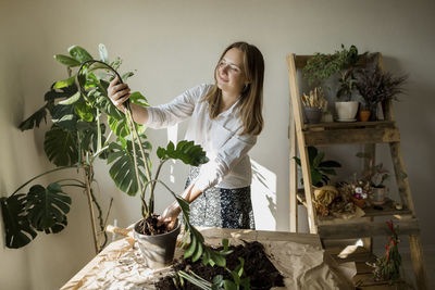 Smiling woman planting zanzibar gem at home