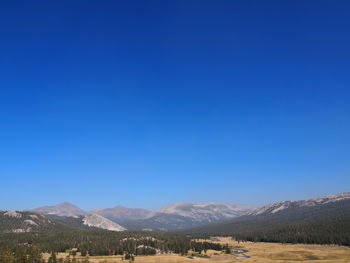 Scenic view of field against clear blue sky