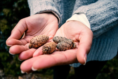 Close-up of hand holding leaf