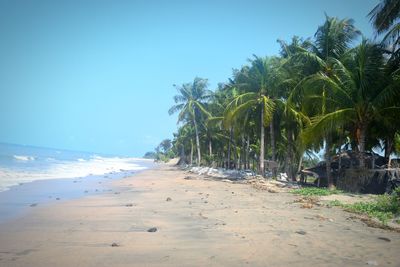 Scenic view of beach against clear sky