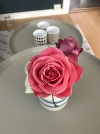 High angle view of rose on table