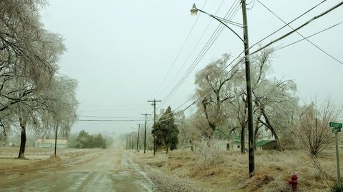 Road amidst bare trees against sky