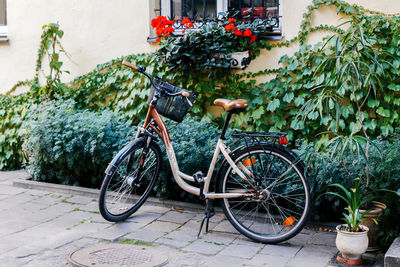 Bicycle parked by potted plants in city