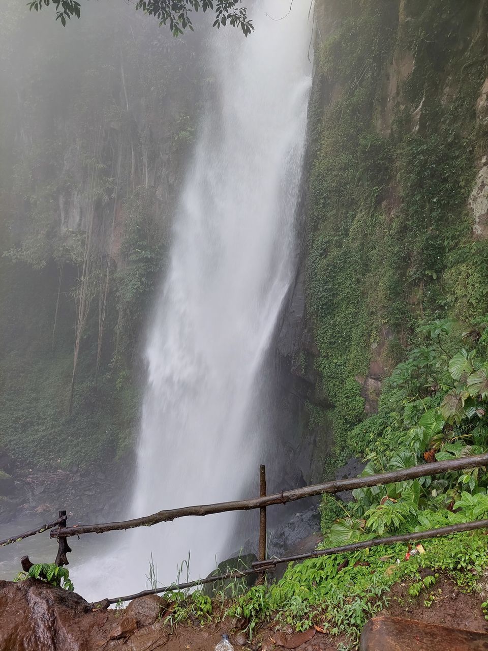 SCENIC VIEW OF WATERFALL AGAINST TREES