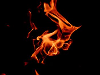 Close-up of bonfire against black background