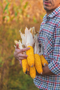 Midsection of man holding corn