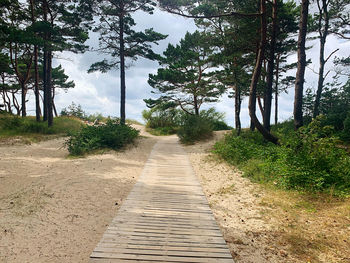 Footpath to the sea