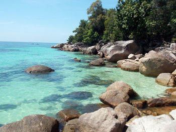 Rocky beach with sky in background