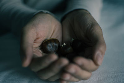 Cropped hand of person holding chestnut over fabric