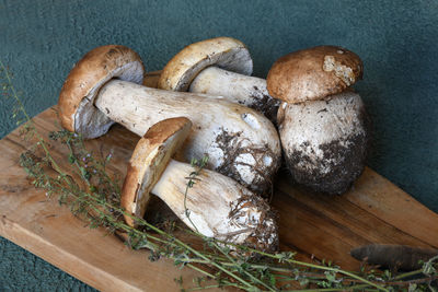 High angle view of mushrooms on table