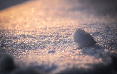 Close-up of snow covered land