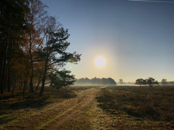 Dirt road amidst trees on field against sky at sunset