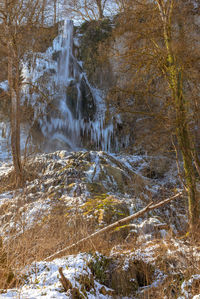 Scenic view of waterfall in forest during winter