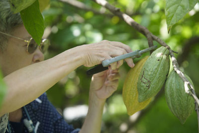 Close-up of hand holding plant