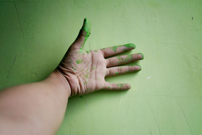 Close-up of hand touching leaf against wall
