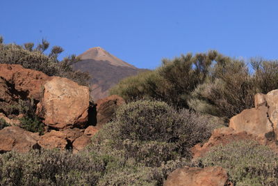 Magnificent view of mount teide