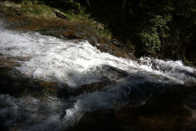 Scenic view of waterfall in forest