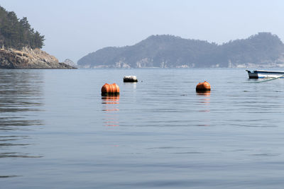 View of buoys in sea against clear sky during sunny day