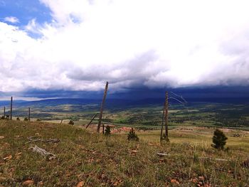 Scenic view of field against sky