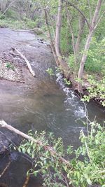 Stream flowing through rocks