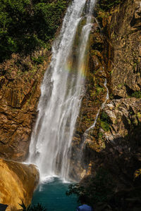 Scenic view of waterfall in forest