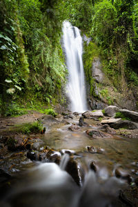 View of waterfall in forest