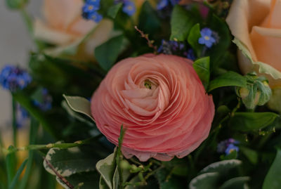 Close-up of rose bouquet