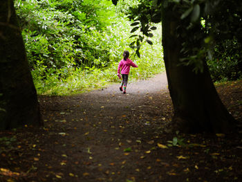 Rear view of girl walking on footpath amidst trees