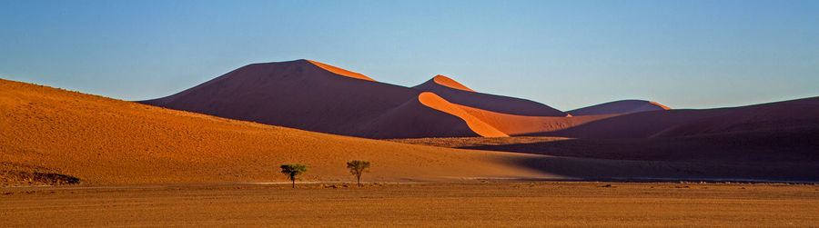 View of a desert