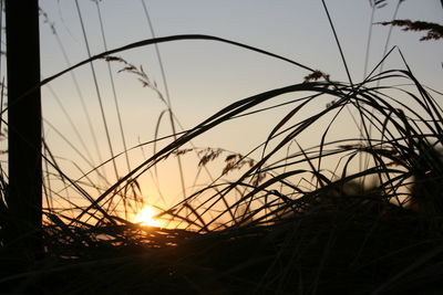 Low angle view of sunset